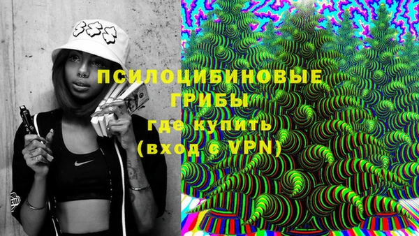 винт Баксан