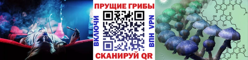 Галлюциногенные грибы Cubensis  купить  цена  Белово 
